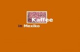 Kaffee in Mexiko. Aktuelle Daten Gegenwärtig ist México der weltweit viertgrößte Kaffeproduzent: fast 5 Millionen Sack á 60kg. Es gibt 282.000 ProduzentInnen,