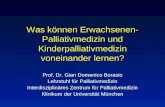Was können Erwachsenen- Palliativmedizin und Kinderpalliativmedizin voneinander lernen? Prof. Dr. Gian Domenico Borasio Lehrstuhl für Palliativmedizin.
