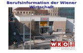 Berufsinformation der Wiener Wirtschaft. Was ist BiWi? Unsere Angebote sind für die Kunden kostenlos Berufsinformationszentrum der Wirtschaftskammer Wien.