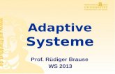 Adaptive Systeme Prof. Rüdiger Brause WS 2013 Organisation Einführung in adaptive Systeme B-AS-1, M-AS-1 Vorlesung Dienstags 10-12 Uhr, SR11 Übungen.