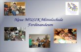 Neue MUSIK Mittelschule Ferdinandeum. 8 Klassen 190 Schüler/innen und 27 Stammlehrer/innen Schüler/innen aus der Stadt und Umgebung Voraussetzung: Eignungstest-Musik.