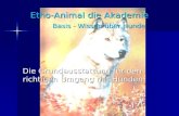 Etho-Animal die Akademie Basis - Wissen über Hunde Die Grundausstattung für den richtigen Umgang mit Hunden.