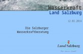 Wasserkraft Land Salzburg 12.03.2014 Die Salzburger Wasserkraftberatung.