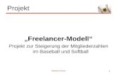 Matthias Rucker 1 Projekt Freelancer-Modell Projekt zur Steigerung der Mitgliederzahlen im Baseball und Softball.