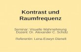 Kontrast und Raumfrequenz Seminar: Visuelle Wahrnehmung Referentin: Lena-Eowyn Dienelt Dozent: Dr. Alexander C. Schütz.