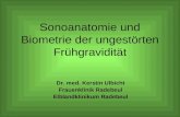 Sonoanatomie und Biometrie der ungestörten Frühgravidität Dr. med. Kerstin Ulbicht Frauenklinik Radebeul Elblandklinikum Radebeul.