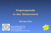 Organspende in der Steiermark Michael Zink Universitätsklinik für Anästhesiologie und Intensivmedizin Universitäts-Klinikum Graz ÖBIG.