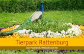 Tierpark Rattenburg Das Paradies für Mensch und Tier.