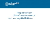 Repetitorium Strafprozessrecht SS 2013 Univ.- Ass. Mag. Martin Stricker.