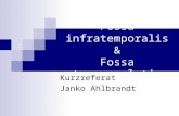 Fossa infratemporalis & Fossa pterygopalatina Kurzreferat Janko Ahlbrandt.