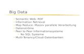 Big Data Semantic Web: RDF Information Retrieval Map Reduce: Massiv parallele Verarbeitung Datenströme Peer to Peer Informationssysteme No SQL Systeme.