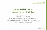 Scaffold 29S: Komplexe Zahlen Niall Palfreyman Biotechnology & Bioinformatics Weihenstephan-Triesdorf University of Applied Science.