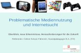 Problematische Mediennutzung und Internetsucht Überblick, neue Erkenntnisse, Herausforderungen für die Zukunft Referentin: Celine Schulz-Fähnrich, Sozialpädagogin.