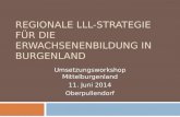Regionale LLL-Strategie für die Erwachsenenbildung in Burgenland Umsetzungsworkshop Mittelburgenland 11. Juni 2014 Oberpullendorf.