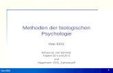 Das EEG 1 Methoden der biologischen Psychologie Das EEG Birbaumer und Schmidt Kapitel 20.4 und 20.5 und Hagemann: EEG_Genese.pdf.