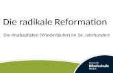 Die radikale Reformation Die Anabaptisten (Wiedertäufer) im 16. Jahrhundert.