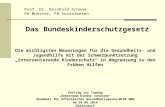 Prof. Dr. Reinhold Schone FH Münster, FB Sozialwesen Das Bundeskinderschutzgesetz Die wichtigsten Neuerungen für die Gesundheits- und Jugendhilfe mit der.