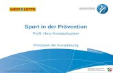 Sport in der Prävention Profil: Herz-Kreislaufsystem Prinzipien der Kursplanung 4.5.1 P-HuB Folie 2007 Prinzipien der Kursplanung - Folie 1.