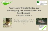 Analyse der Möglichkeiten zur Vorbeugung der Biberschäden am Forstbestand - Projekt NAZV - Doc. Ing. Josef Suchomel, Ph.D. RNDr. Vlastimil Kostkan, Ph.D.