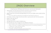 ZAGG Presentation 12-14-10 Final-2