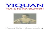 Yiquan. Kung Fu Revolution
