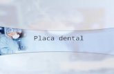 Placa dental