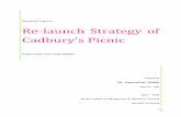 Relaunch Strategy of Cadbury's Picnic