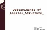 Determinants of Capital Structure