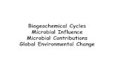 CO2 Biogeochemical Cycles