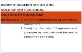 benefit segmentation of soft drinks