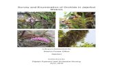 Survey and Enumeration of Orchids in Jajarkot District, Nepal