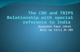 The CBD and TRIPS Relationship PPT