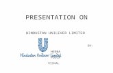 Presentation on Hul