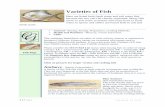 Varieties of Fish