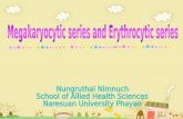Erythrocytic+Megakaryocytic Series