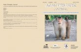 Asian Primate Journal Vol. 1(2)