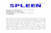 Ch46 Spleen