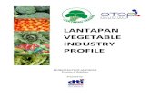 Vegetable Industry Profile of Lantapan,Bukidnon