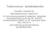 Tuberculous  lymphadenitis