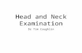 Head and Neck Examination