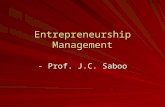 Entrepreneurial Perspectives