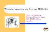 Vascular Access via Central Catheter Educational Module