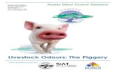 Anotec Pig Production and Odours