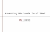 Mastering MS Excel 2003