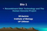 ant DNA Technology & the Human Genome Project