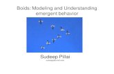 Boids - Modeling and understanding emergent behavior
