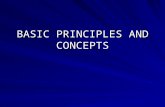 1basic Accounting Principles and Concepts