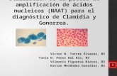 Utilización de la prueba de amplificación de ácidos nucleicos (NAAT) para el diagnóstico de Clamidia y Gonorrea. Victor N. Torres Álvarez, BS Tania N.