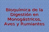 Bioquímica de la Digestión en Monogástricos, Aves y Rumiantes.