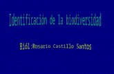 Tomar conciencia de la biodiversidad de su entorno mediante la descripción de los procesos biológicos de los seres vivos y su interrelación, con el fin.